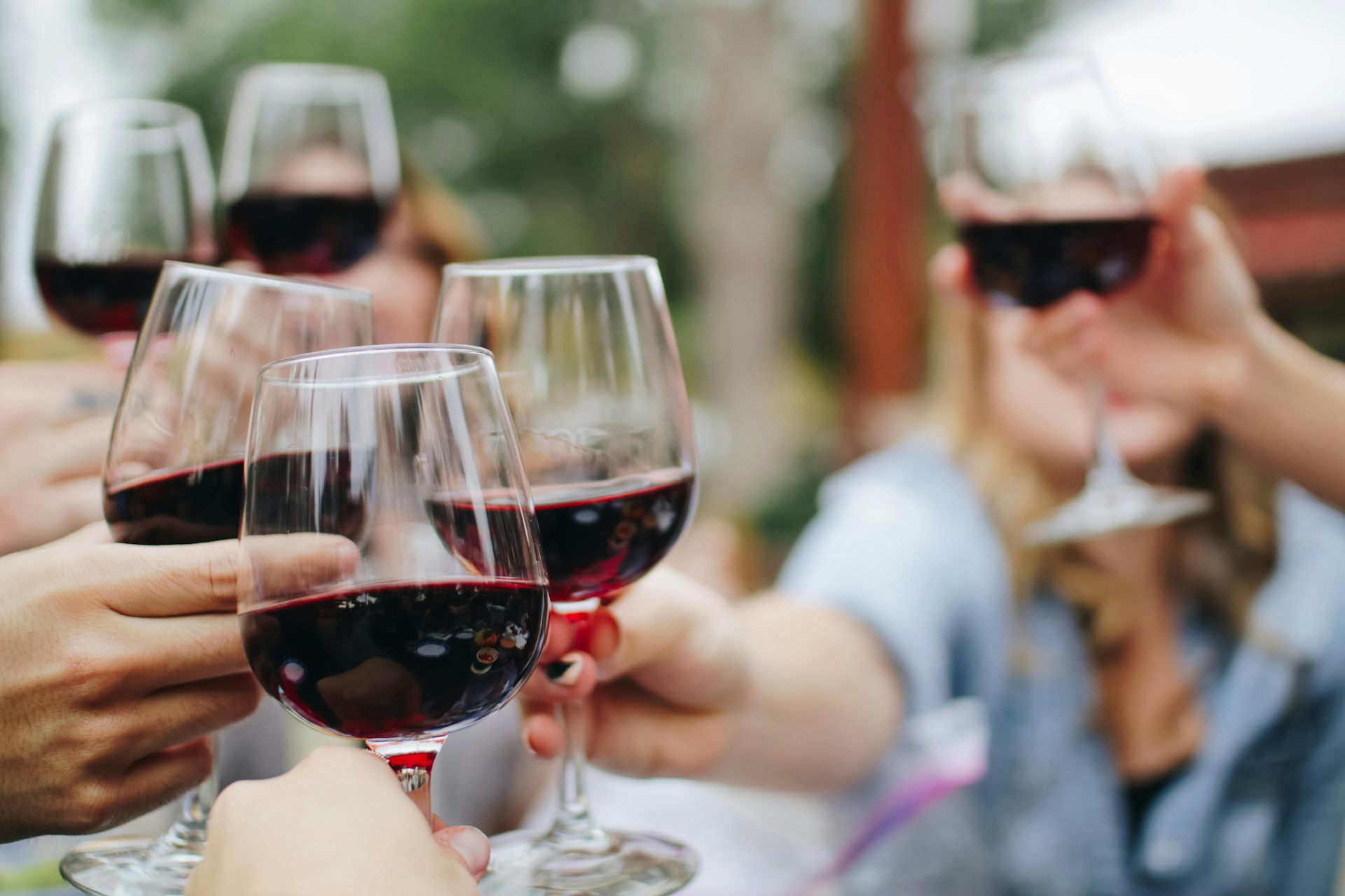 women raise wine glasses at a dinner table