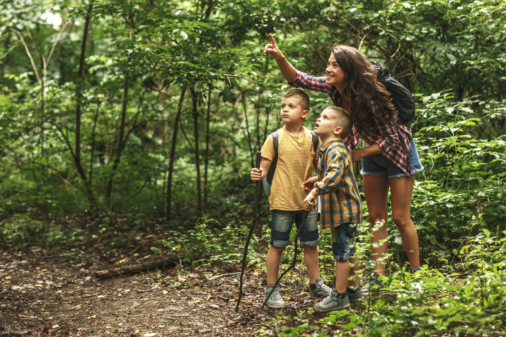 A mother points out some birds in the forest while on a hike with her two young sons.