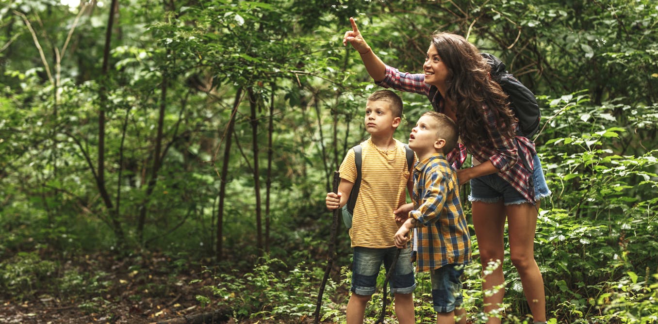 Paying attention to birdsong while walking in nature can boost wellbeing, my research shows Paying attention to birdsong while walking in nature can boost wellbeing, my research shows