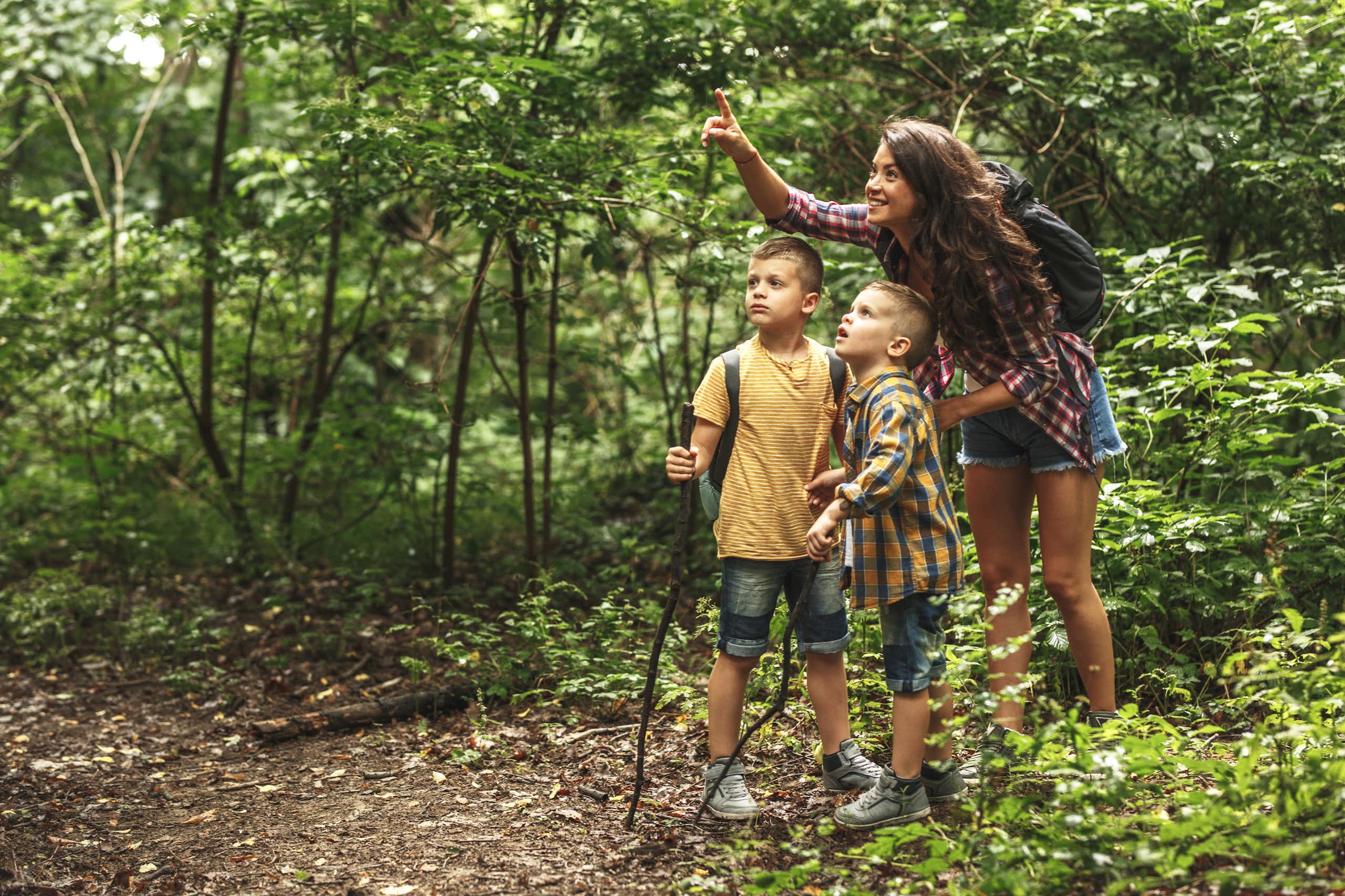 A mother points out some birds in the forest while on a hike with her two young sons.