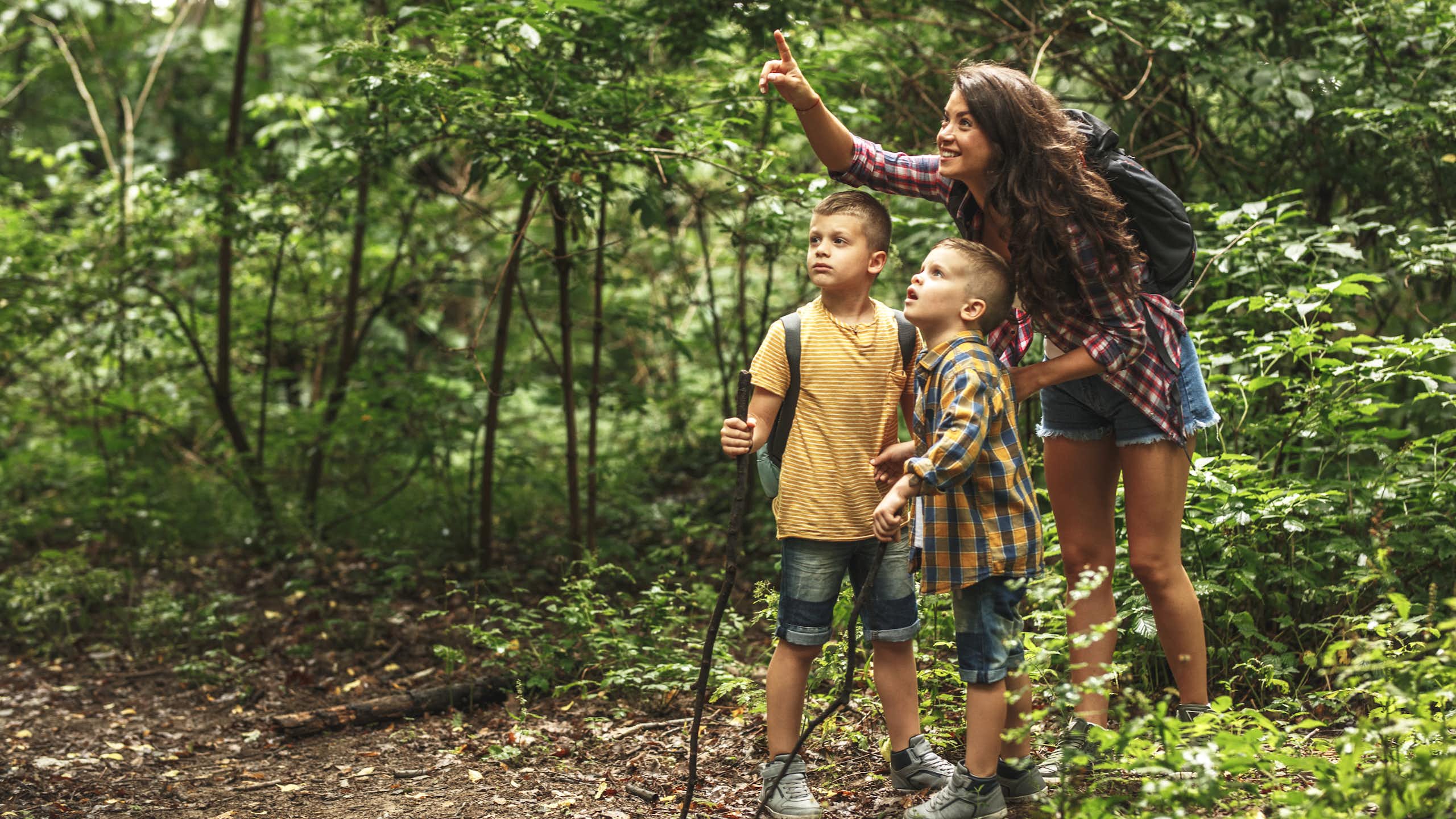 A mother points out some birds in the forest while on a hike with her two young sons.