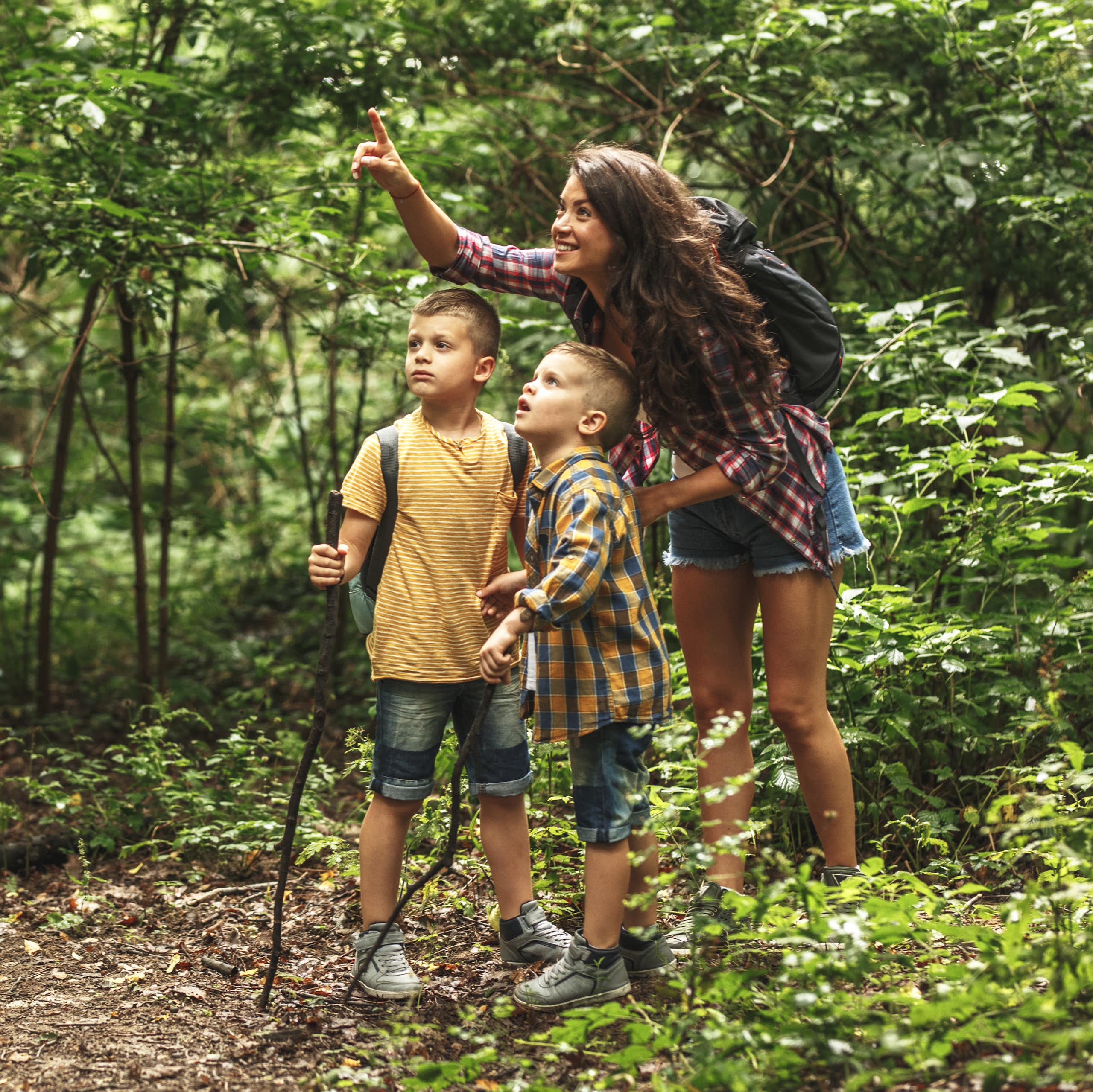 A mother points out some birds in the forest while on a hike with her two young sons.