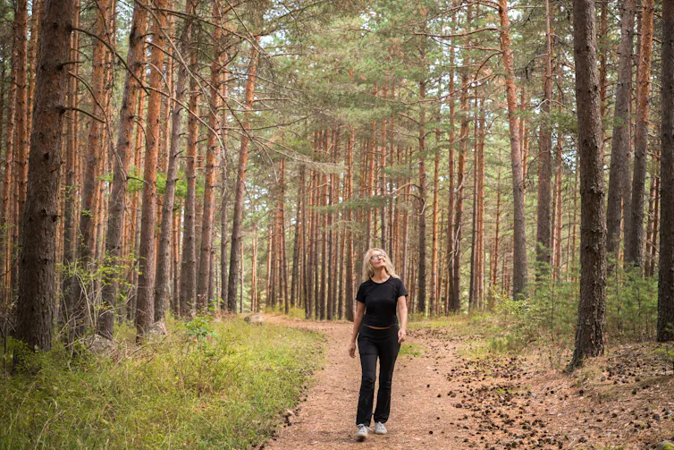 A middle-aged woman walks through a forest alone, while looking up at the trees.