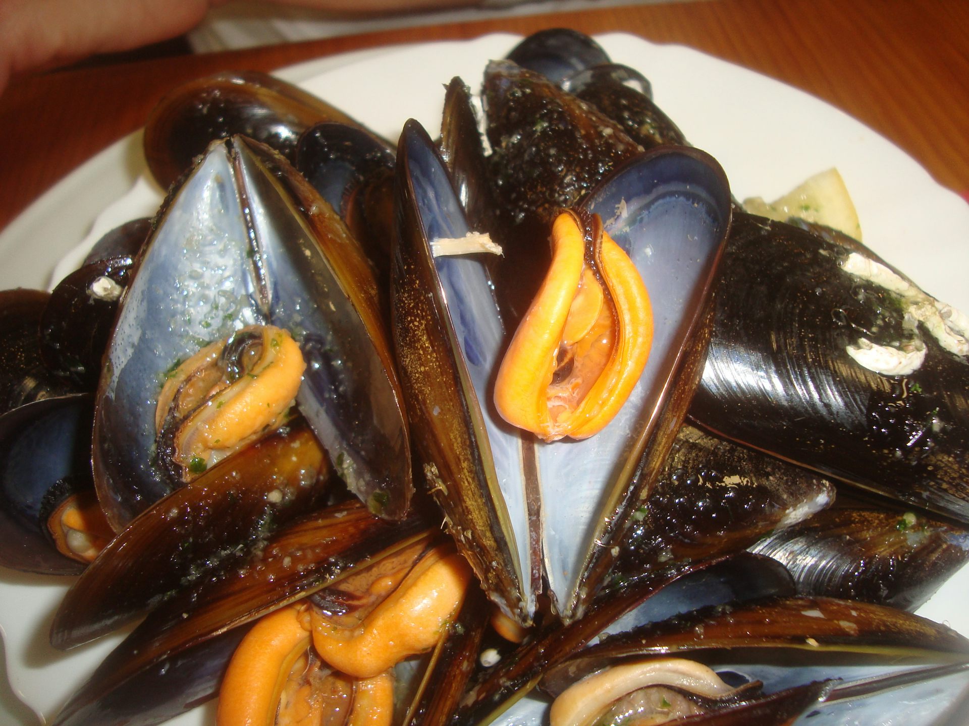 file 20260122 56 5zl3vw.jpg?ixlib=rb 4.1