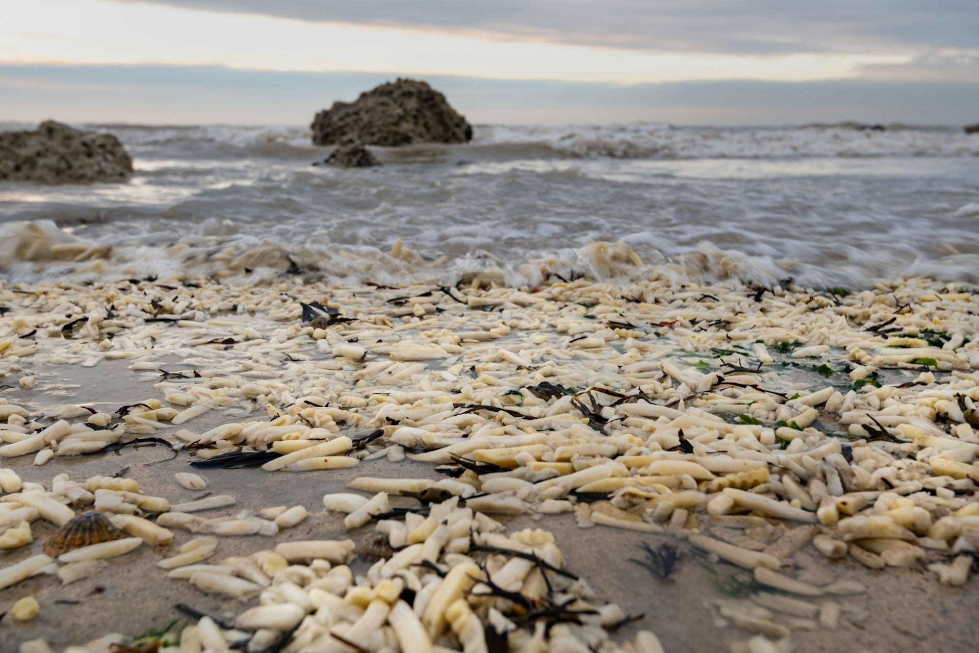 Why do onions and chips keep washing up on England’s south coast? Here’s the science