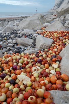 Onions on beach