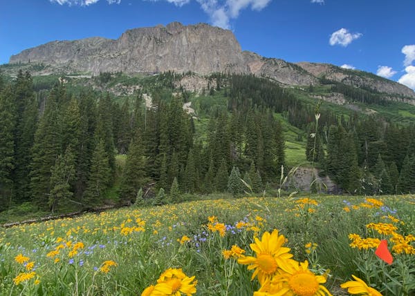 A mountain with a meadow filled with grasses and wildflowers in the foreground.