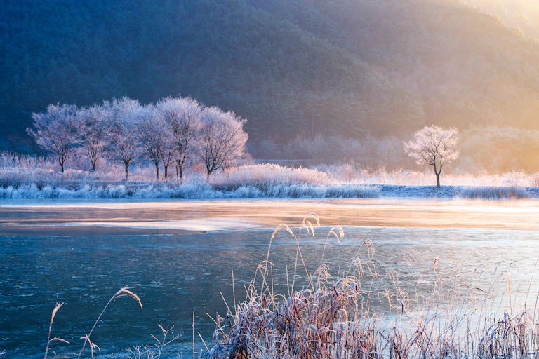An outdoor view of a lake, snow on trees and mountains in the background