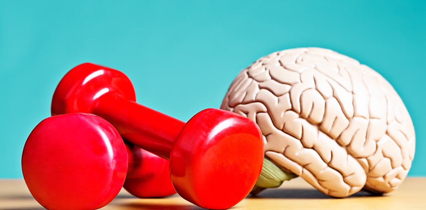 Your brain can be trained, much like your muscles – a neurologist explains how to boost your brain health - The Conversation