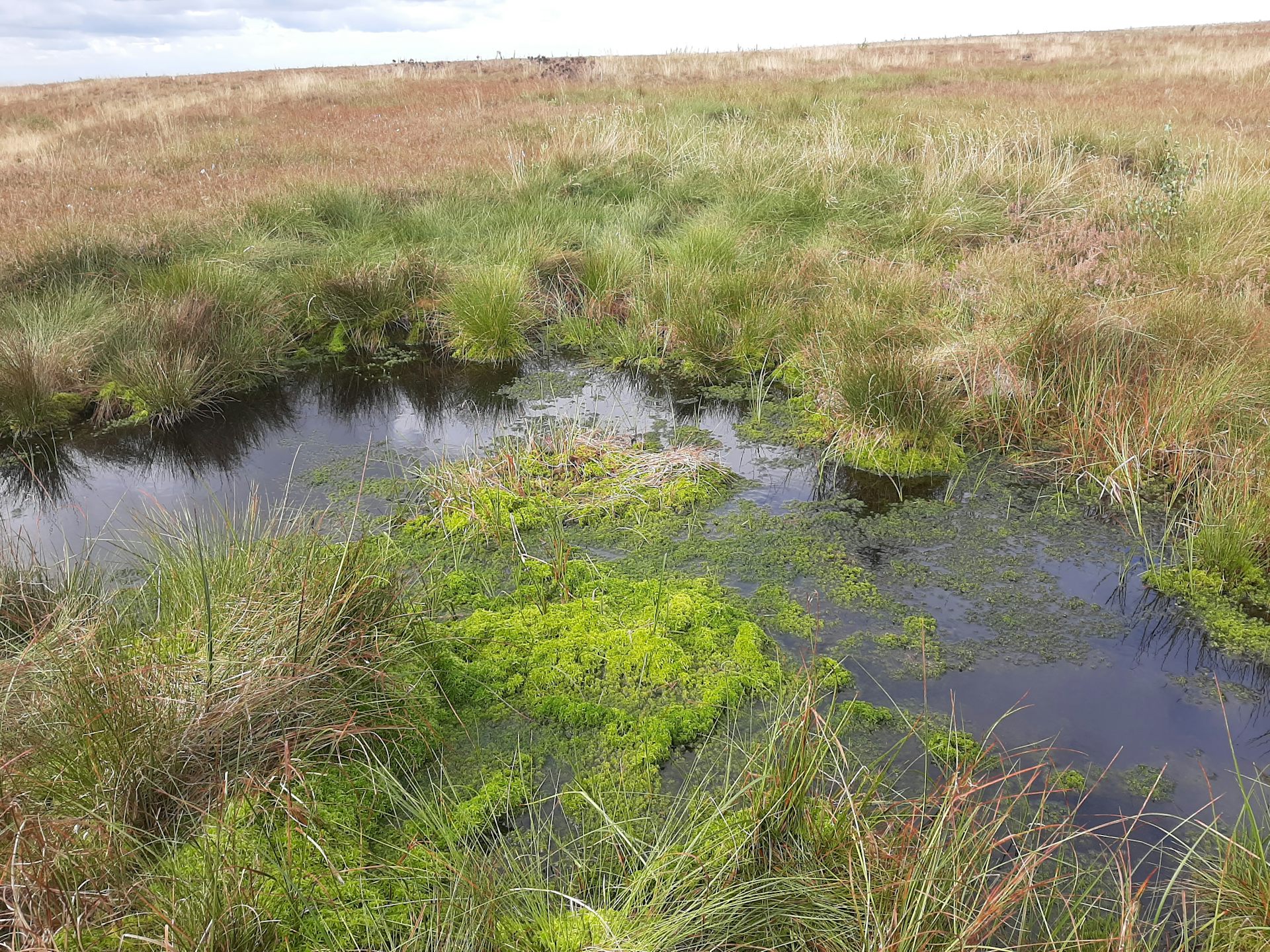 file 20260122 56 t4pk2q.jpg?ixlib=rb 4.1