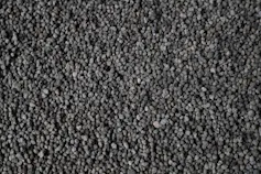 Small dark pellets.