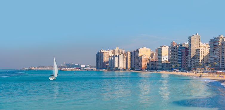 white sail boat on blue sea with city skyline in background