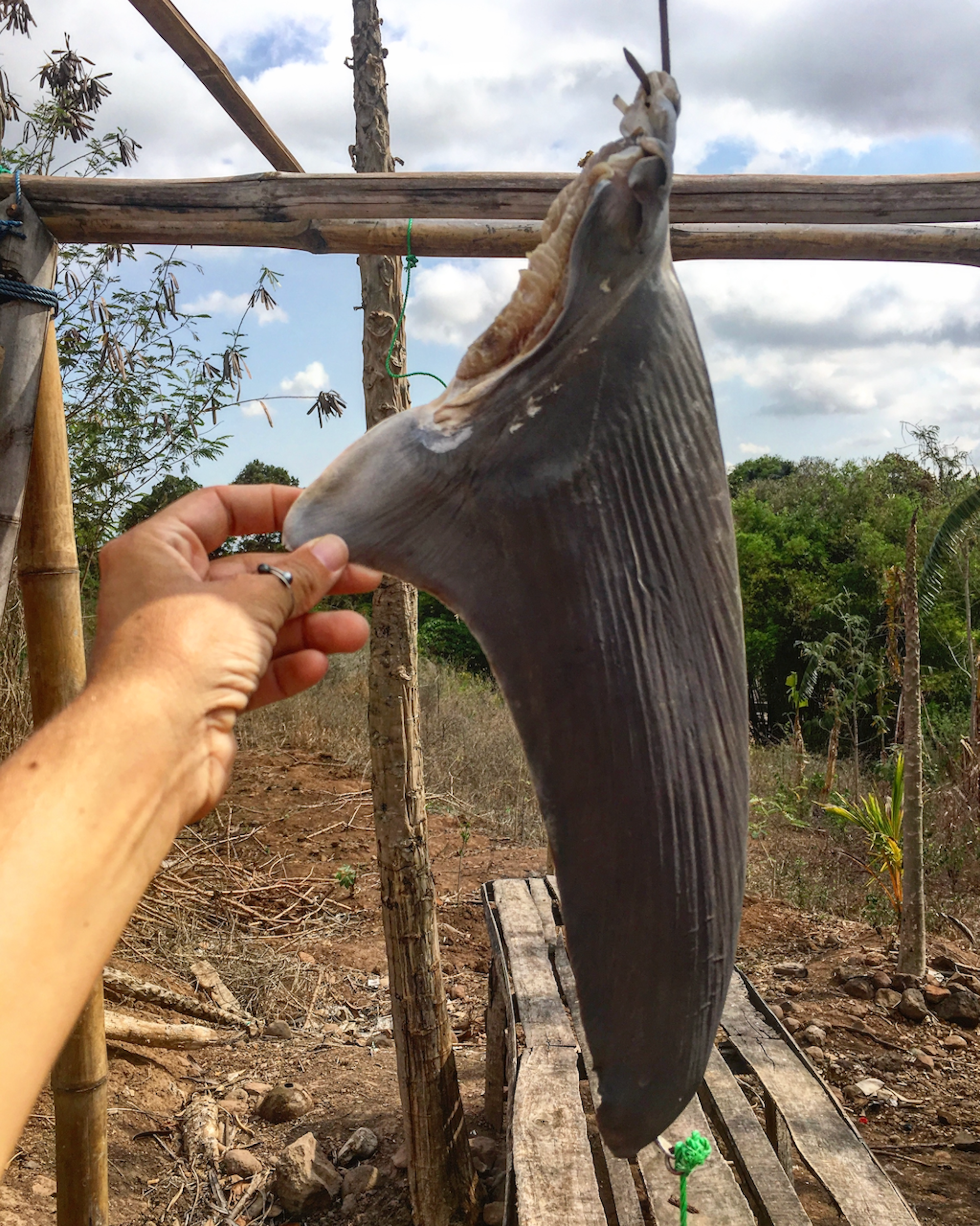 file 20260123 56 oichoc.png?ixlib=rb 4.1