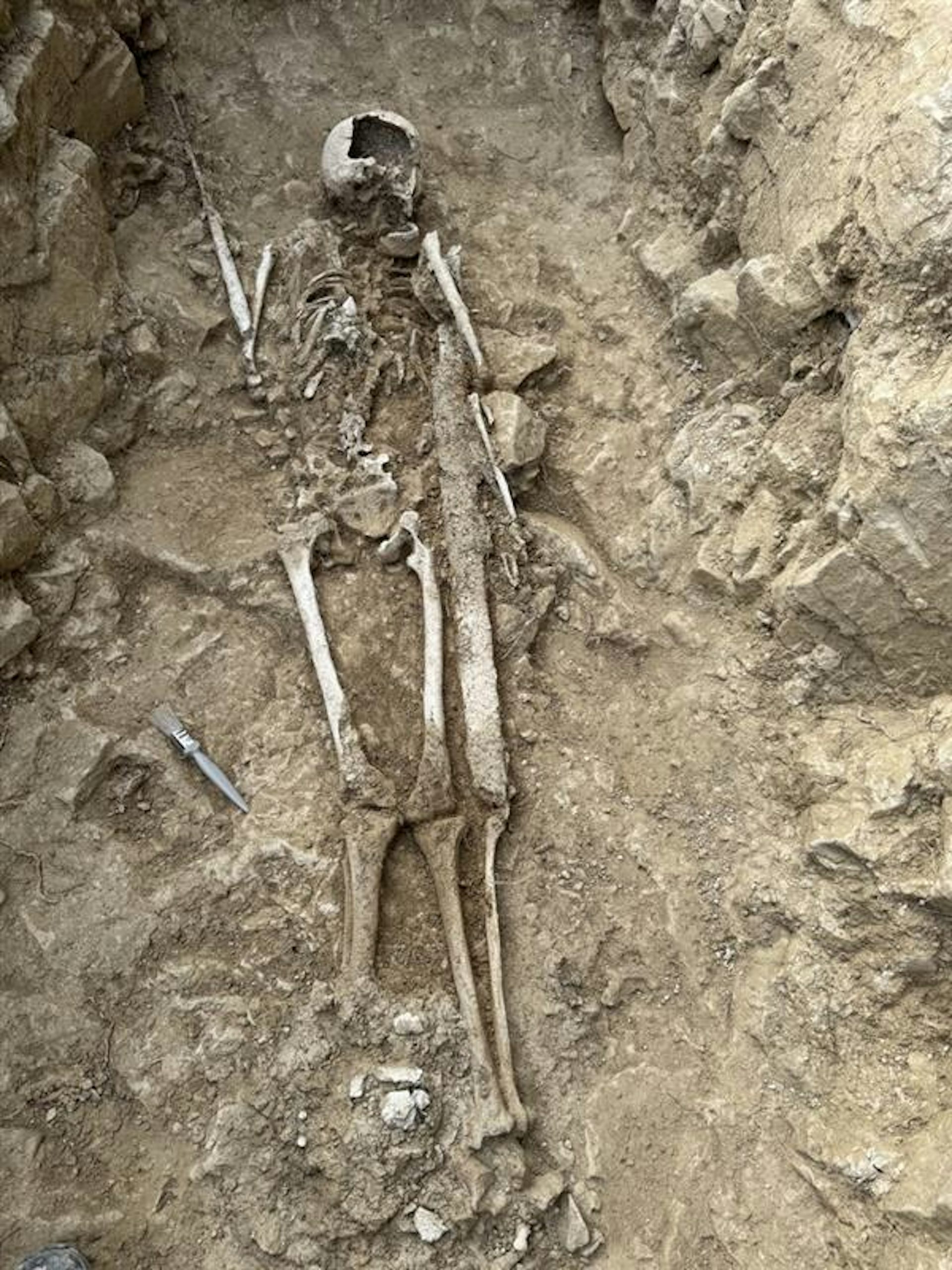 The skeleton of a man and his sword discovered in the medieval cemetery.