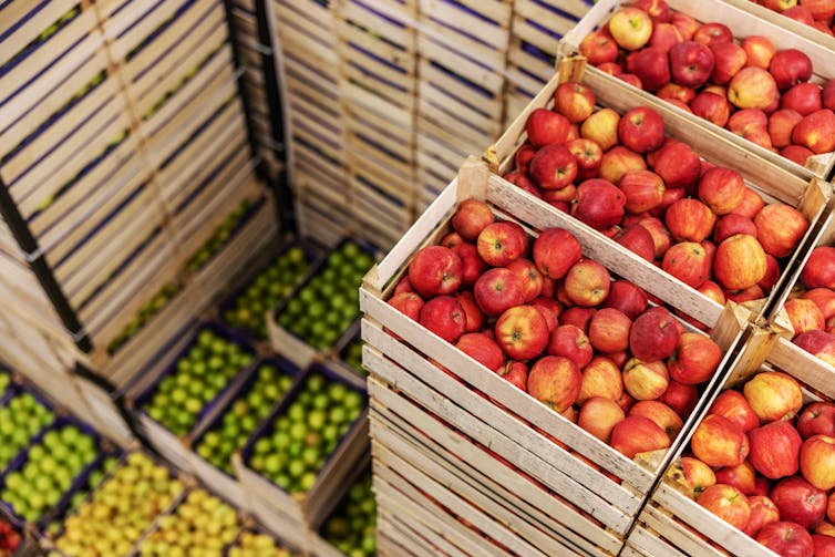stacks of crates of red apples and other colourful fruit