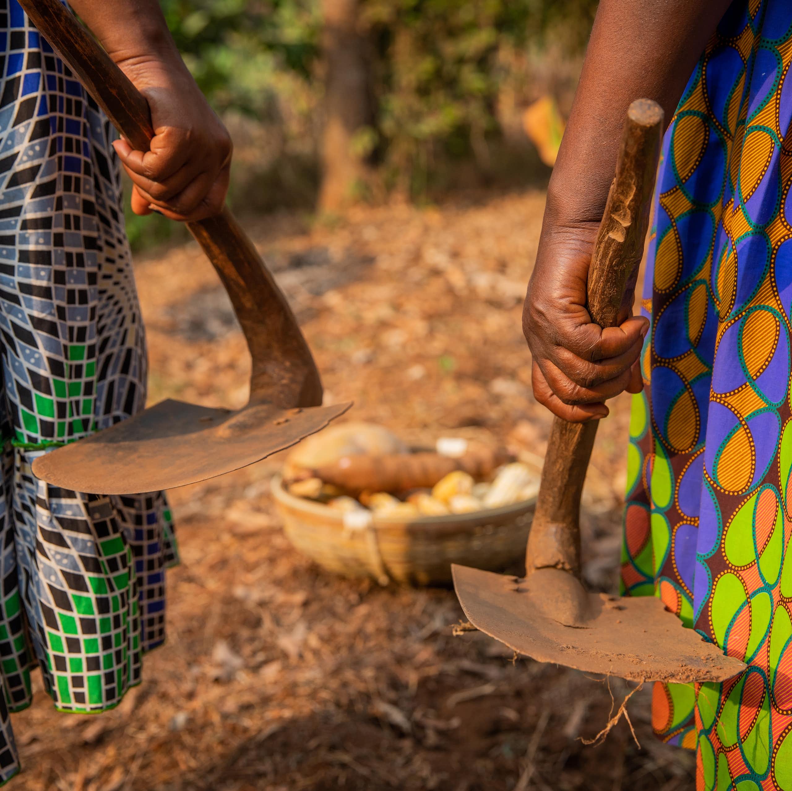 Two African women's hands holding tools