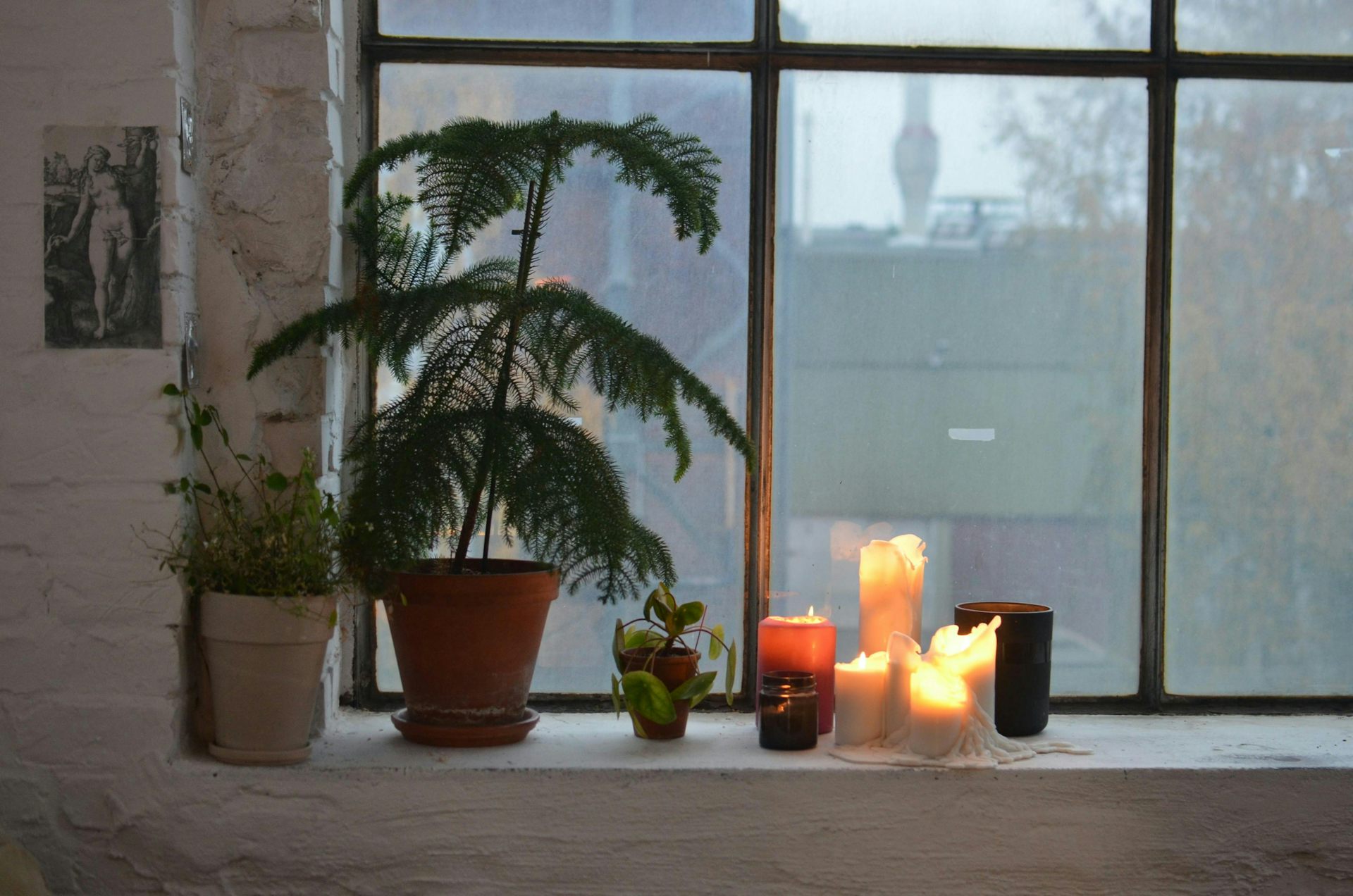 That cosy candle? It’s also polluting the air you’re breathing
