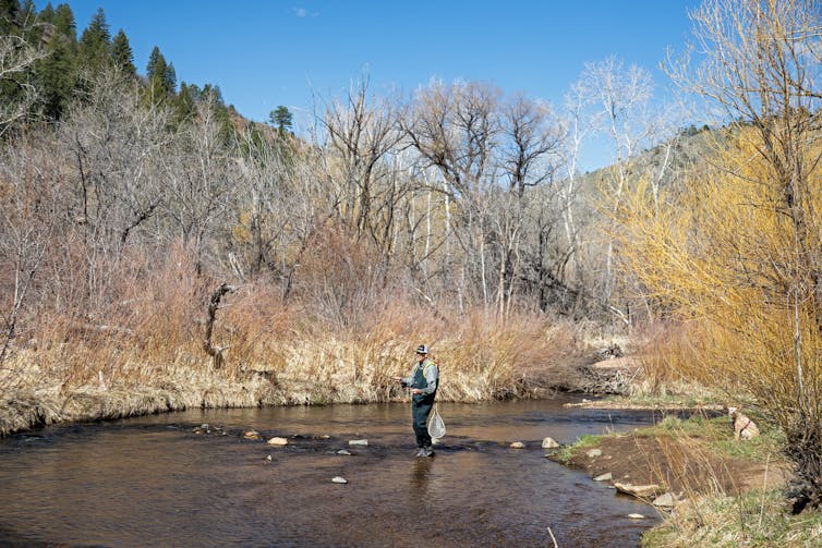A person fishing stands in a shallow river surrounded by brown and gold foliage.