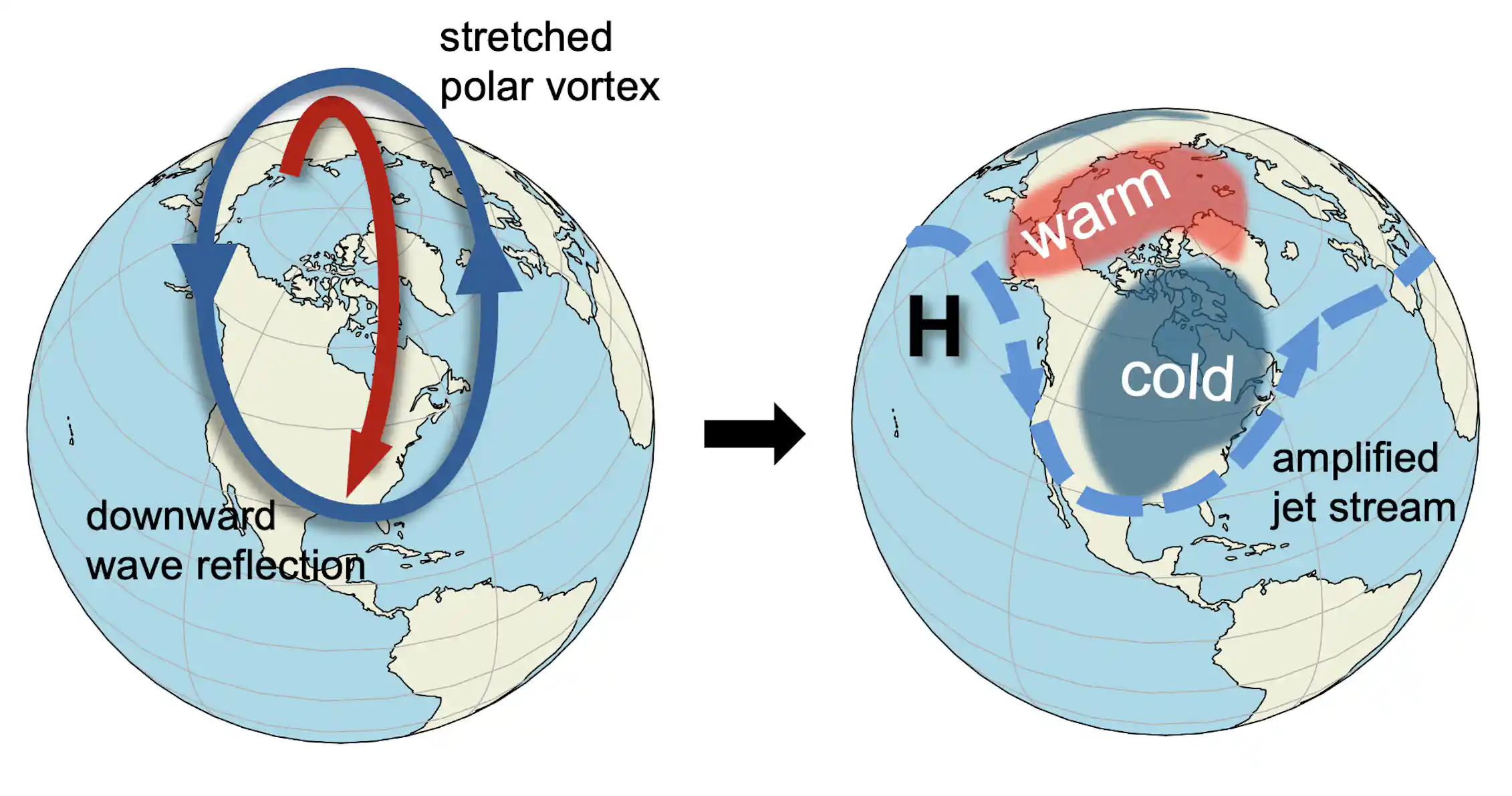 Storm Vortex How the polar vortex and warm ocean intensified a major US winter storm
