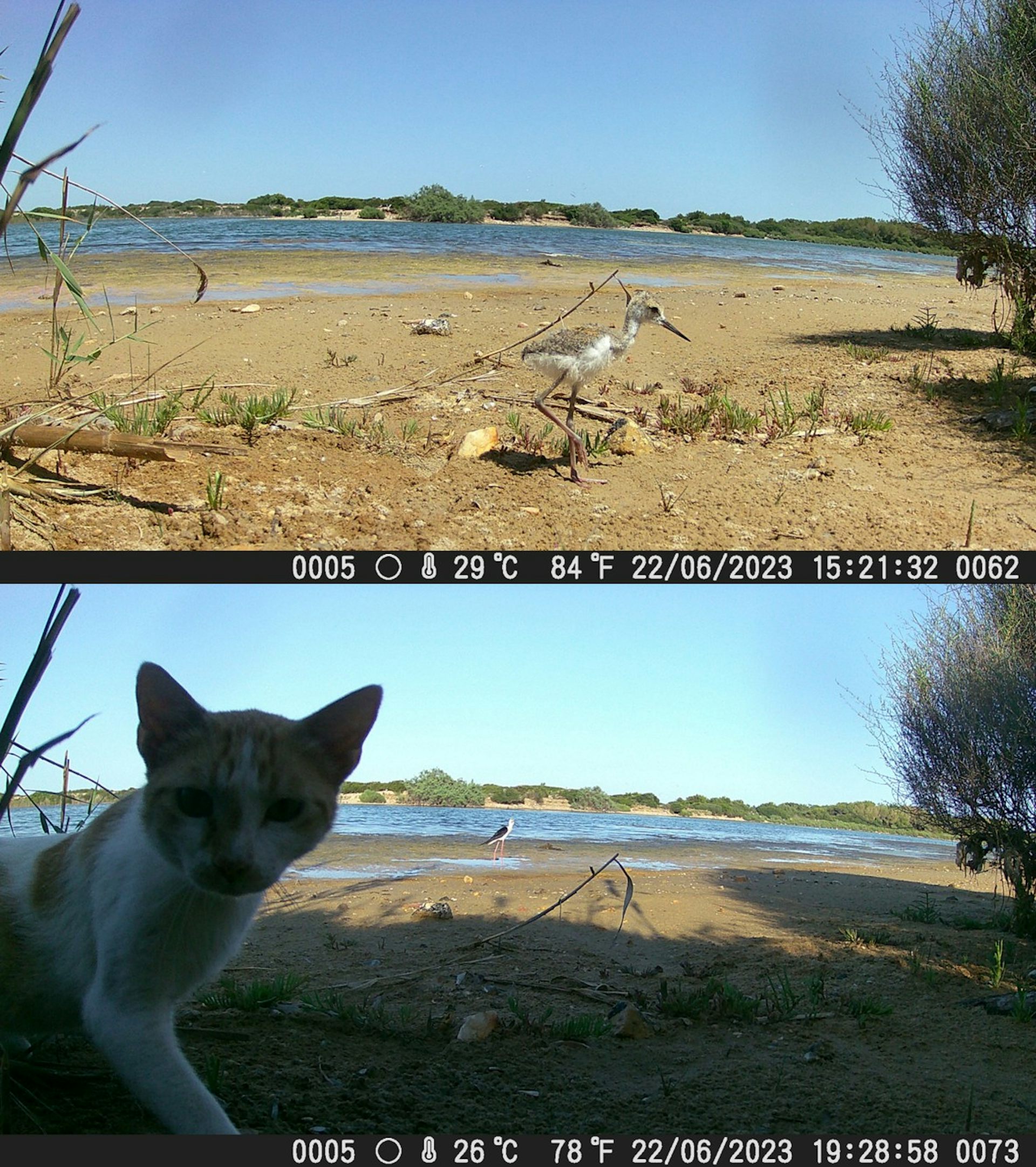 file 20260124 56 4gdus.jpg?ixlib=rb 4.1