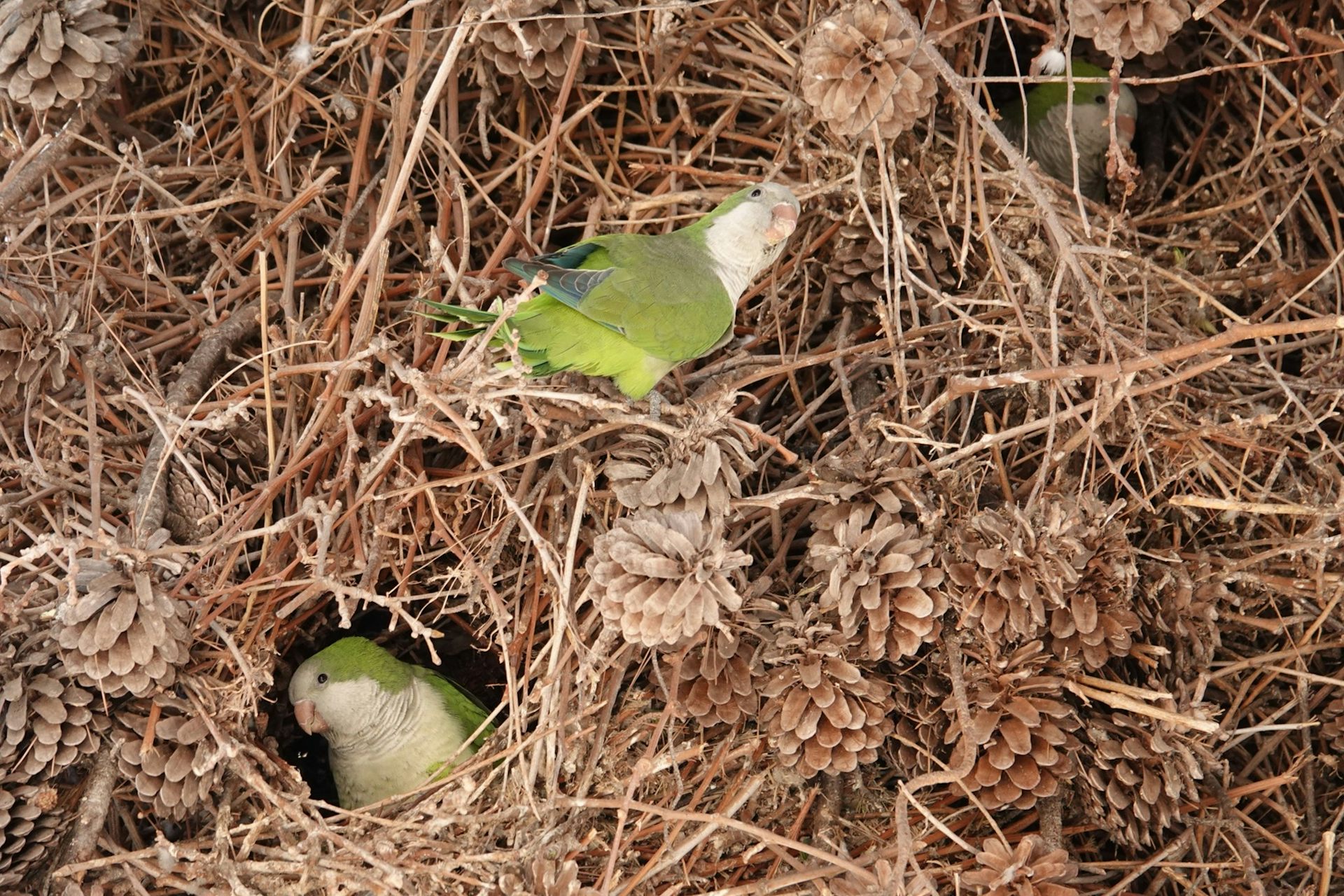 file 20260124 56 l8fnz4.jpg?ixlib=rb 4.1