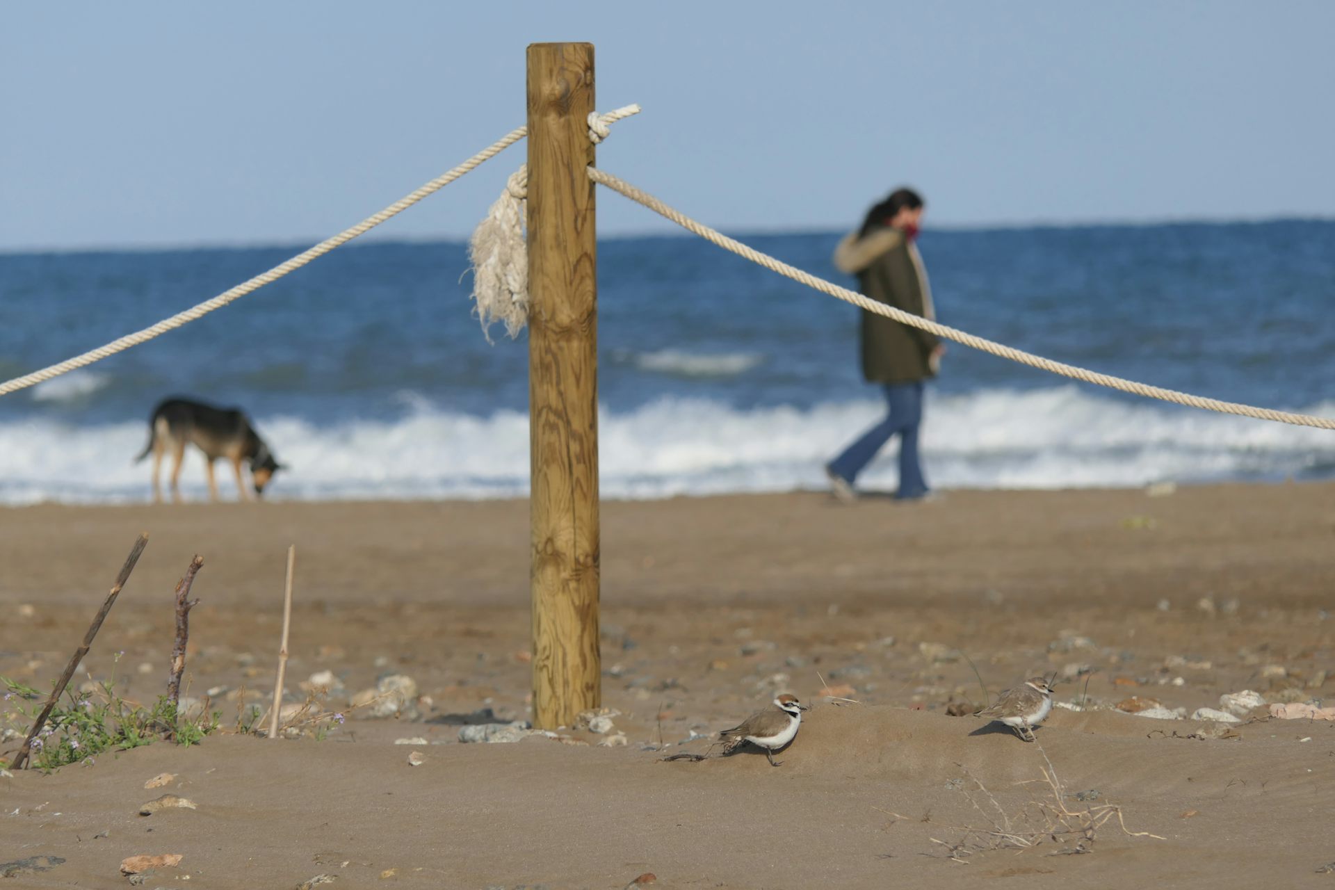 file 20260124 56 emy5ti.JPG?ixlib=rb 4.1