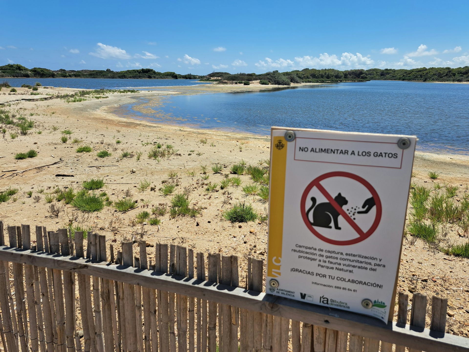 file 20260124 56 9k4kcw.jpg?ixlib=rb 4.1