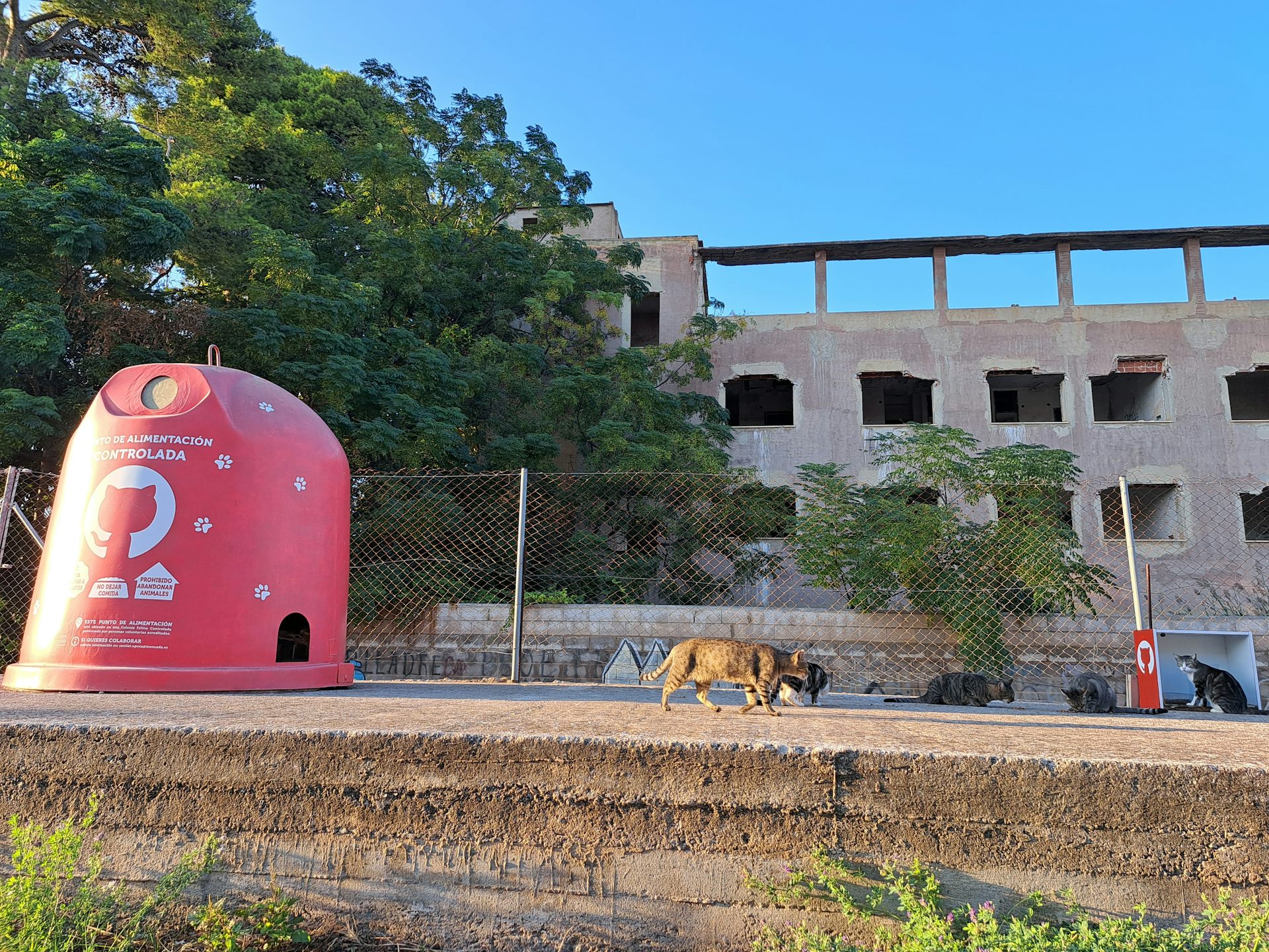 file 20260124 56 mey65q.jpg?ixlib=rb 4.1