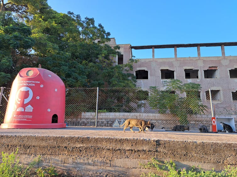 When Pets Consume Biodiversity: Unregulated Struggle within the Eu Union 1 file 20260124 56 mey65q.jpg?ixlib=rb 4.1