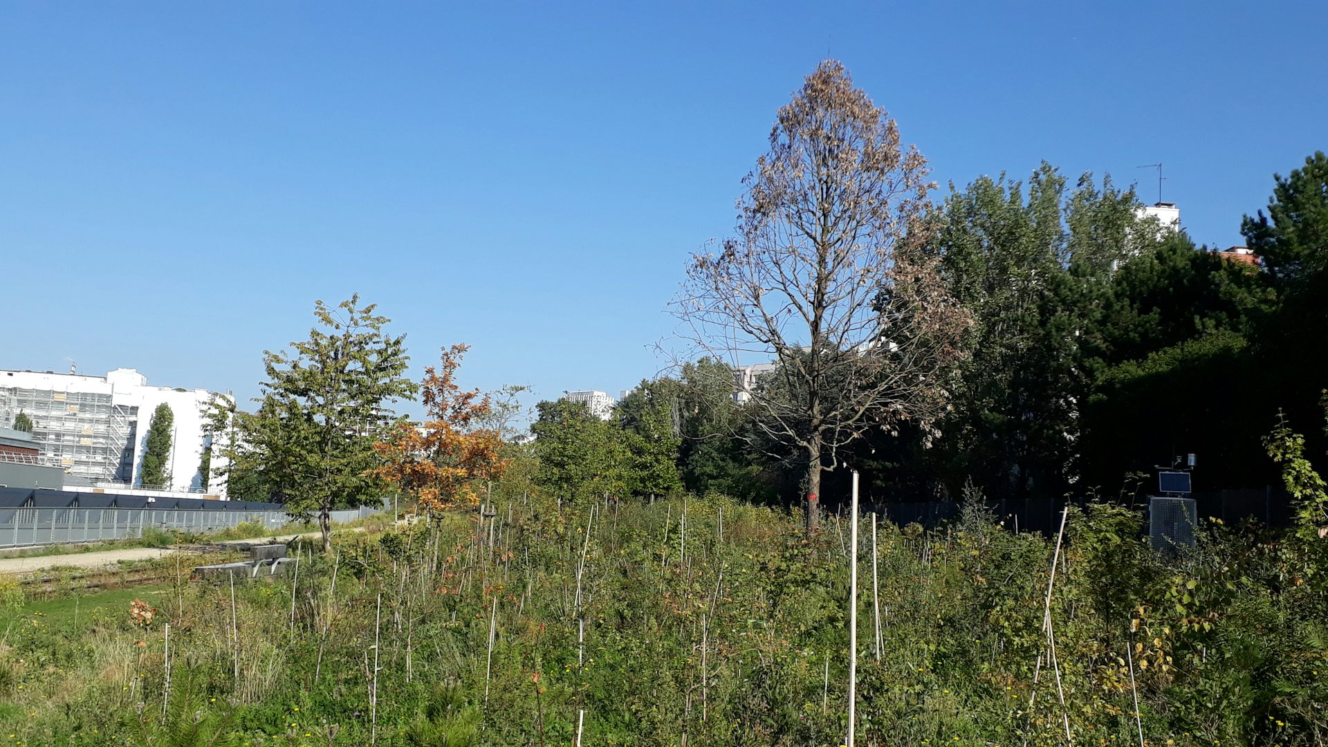 Charonne Urban Forest
