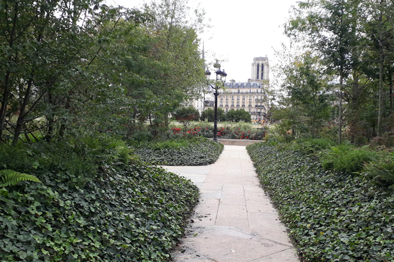 Forêt urbaine de l'Hôtel de Ville