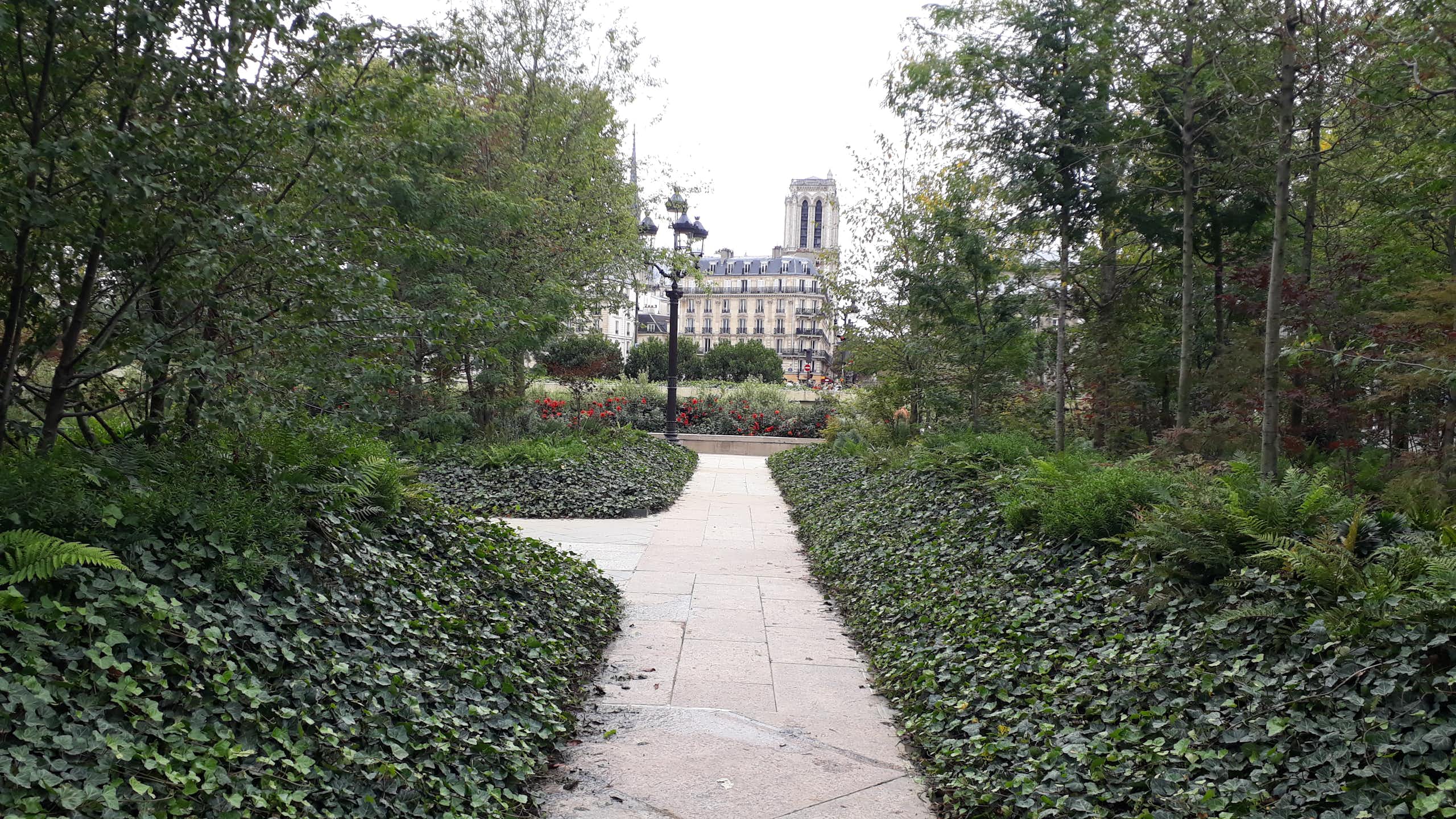 Forêt urbaine de l'Hôtel de Ville
