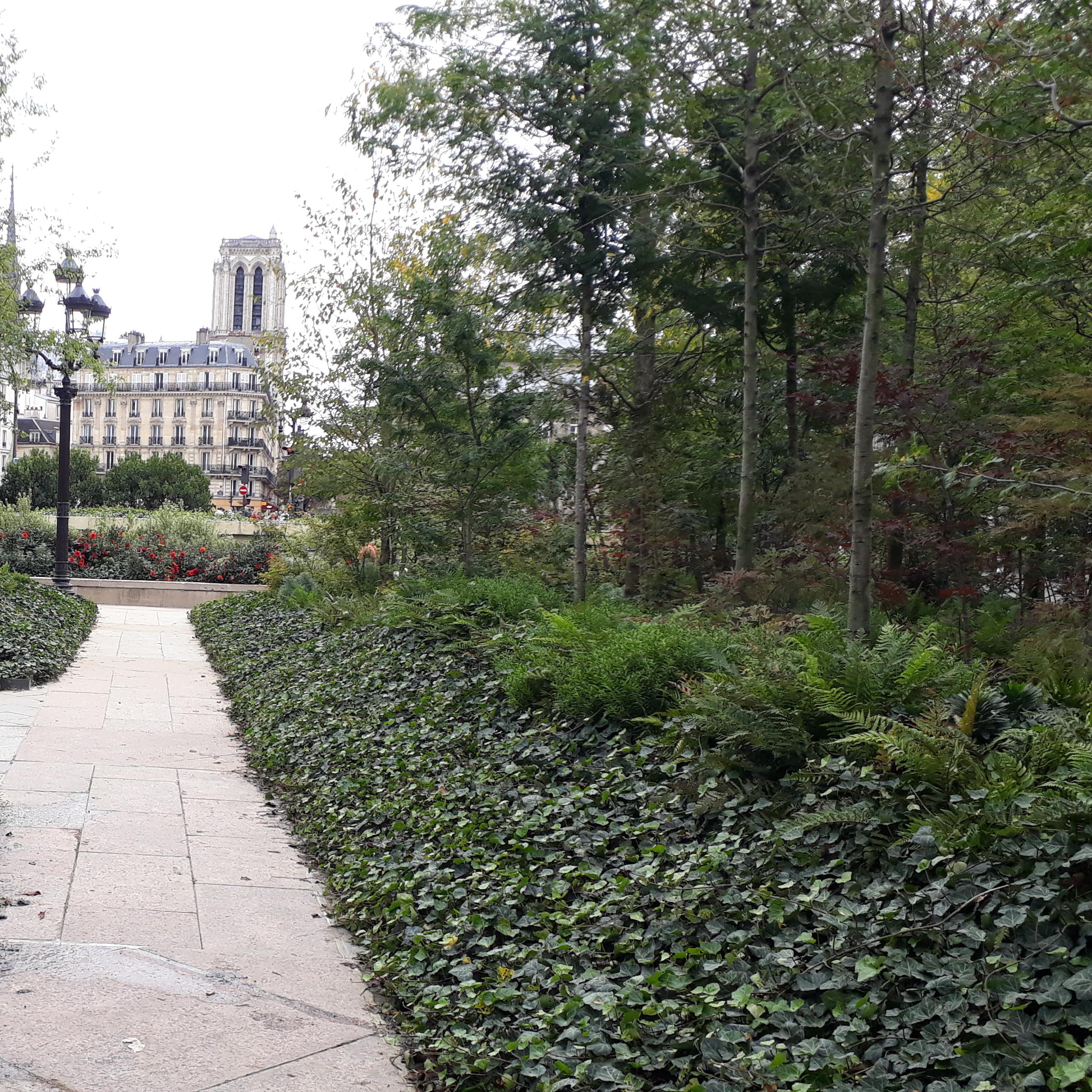 Forêt urbaine de l'Hôtel de Ville