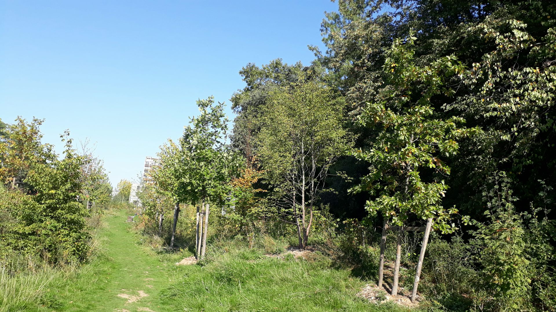 Charonne Urban Forest