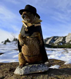 groundhog dressing in a cape and hat standing on a rock with snow in the background