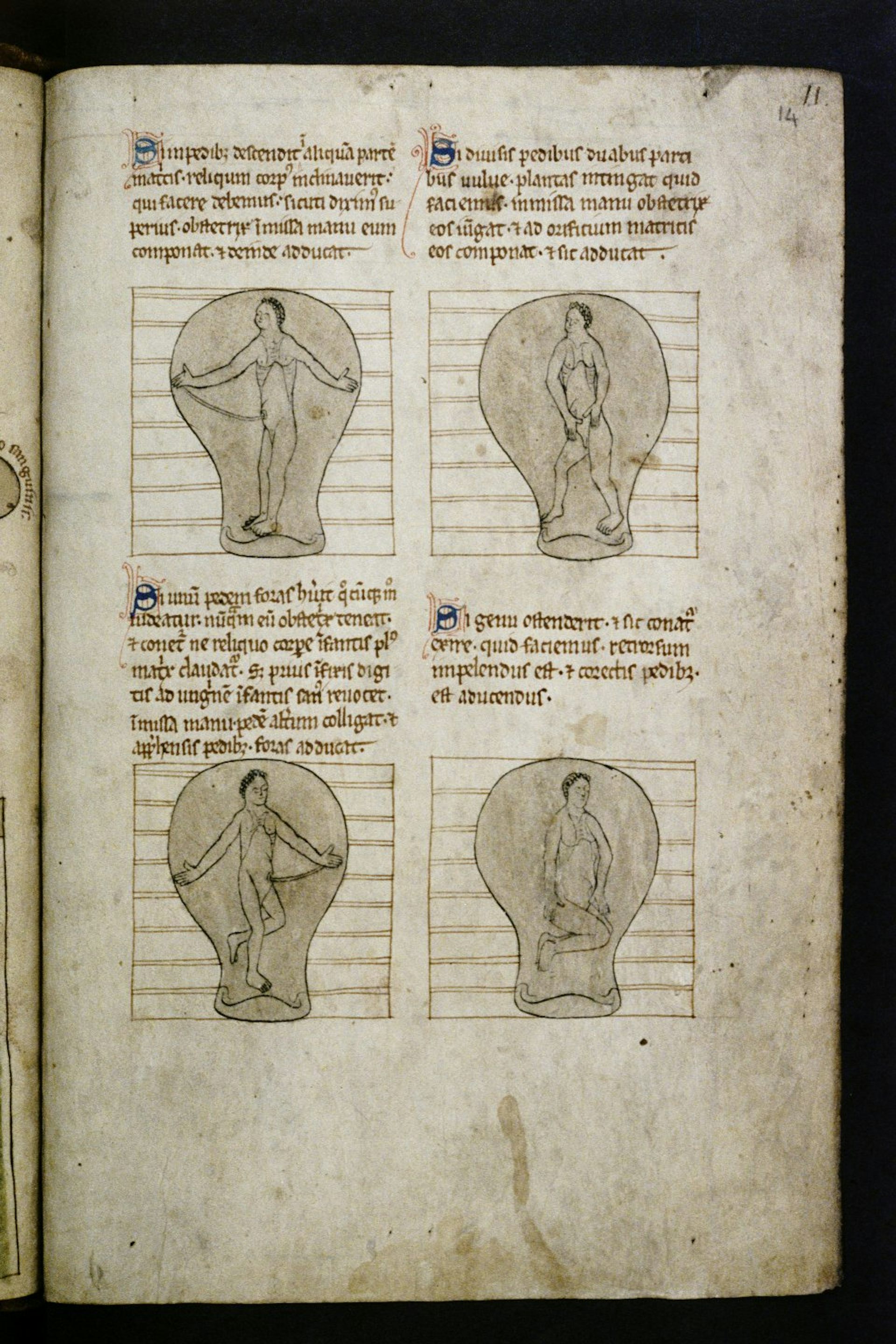 file 20260126 66 26xbyf.jpg?ixlib=rb 4.1