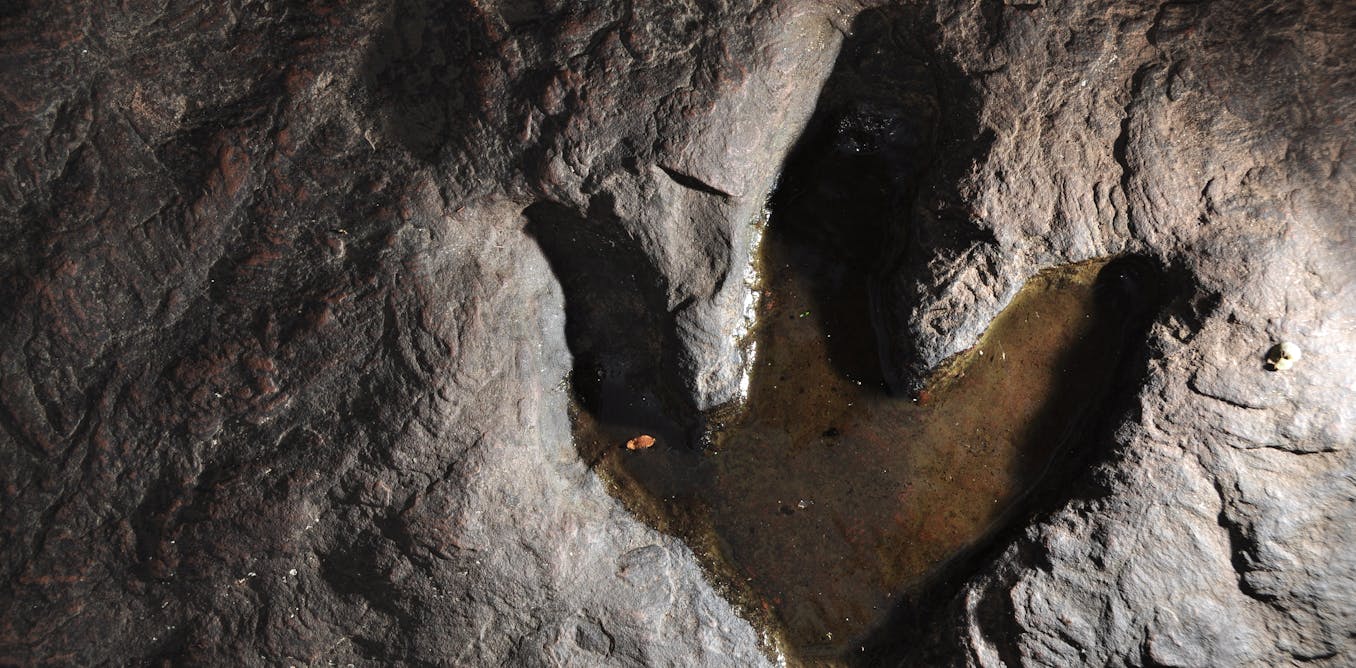 AI Enhances the Challenge of Identifying Dinosaurs from Footprints AI Enhances the Challenge of Identifying Dinosaurs from Footprints