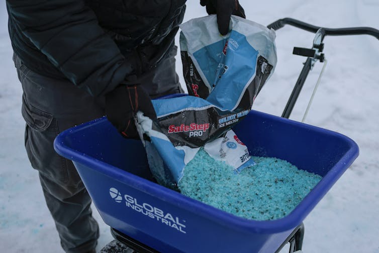 Person spills bag of teal snow salt into a salt spreader
