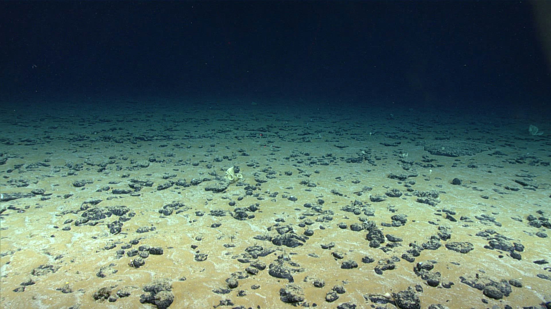 Abyssal Ocean Reveals Active Bottom Mixing