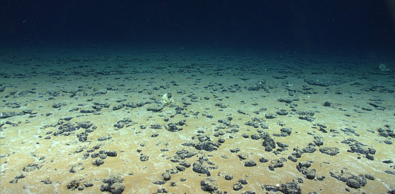 Abyssal Ocean Reveals Active Bottom Mixing