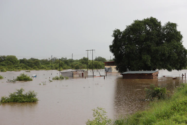 Some one story buildings flooded three quarters of the way up to their roofs
