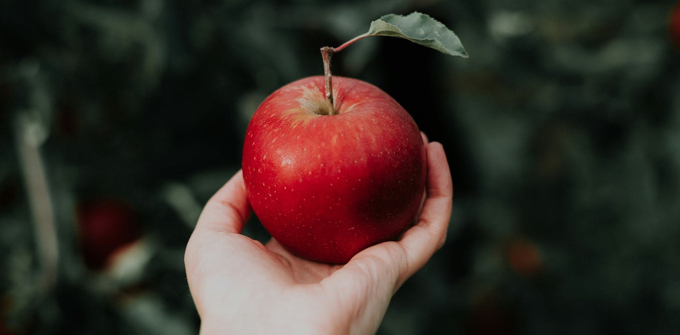 Creating Lab-Grown Human Cartilage with Apples! Creating Lab-Grown Human Cartilage with Apples!