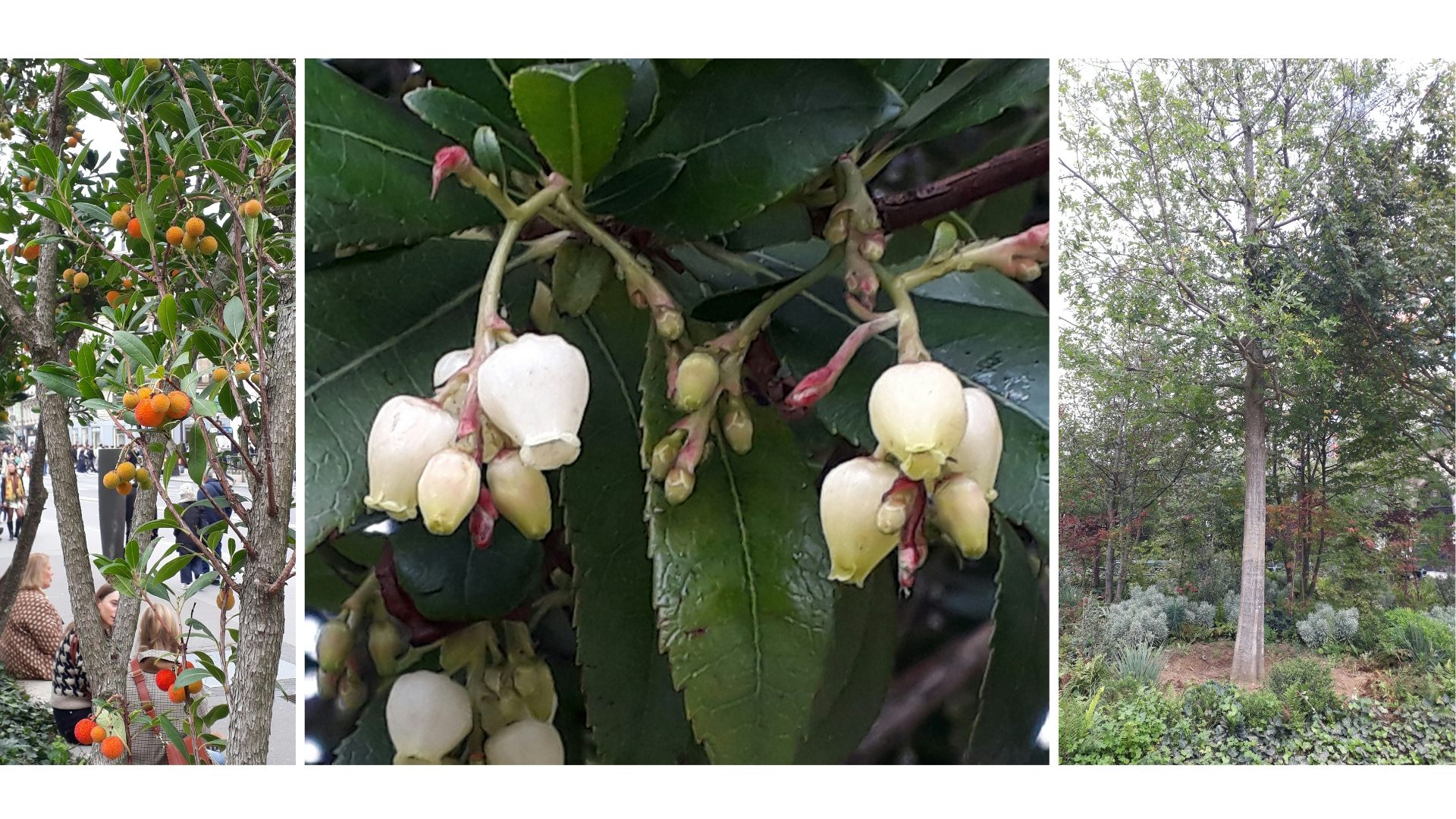 file 20260127 66 cfmxg9.jpg?ixlib=rb 4.1