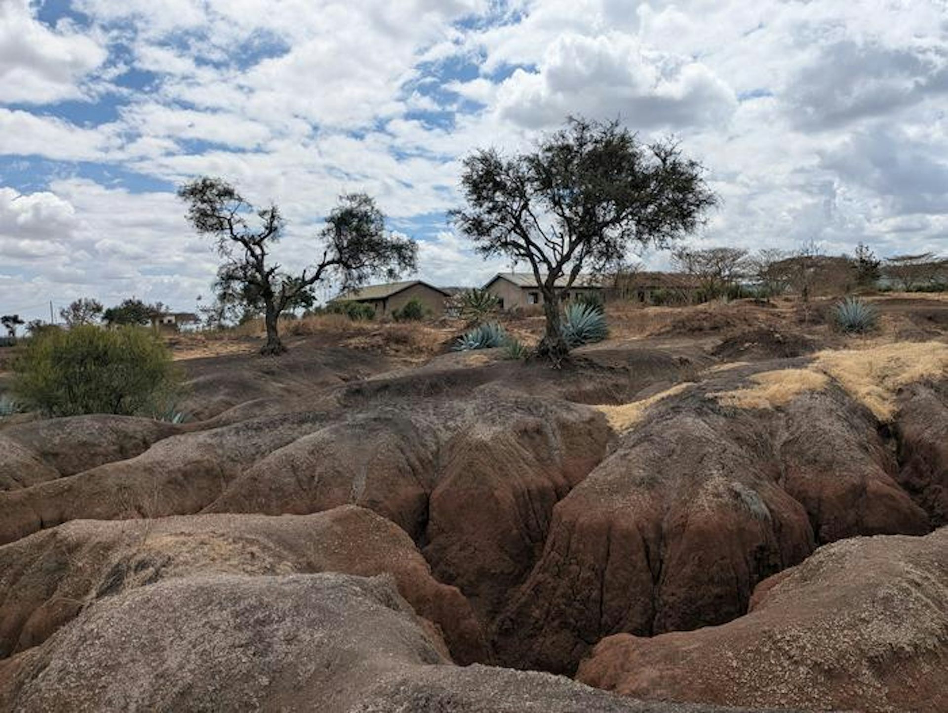 Tanzania is losing fertile land to soil erosion: what’s happening and what can be done