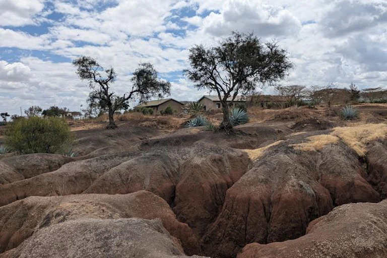 Landscape with severe soil erosion, and houses in the background