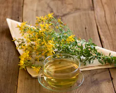 Tisane à base de « Hypericum perforatum » communément appelée millepertuis