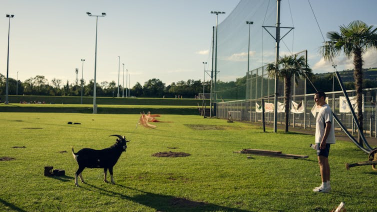 A man on a rough football pitch staring at a goat.