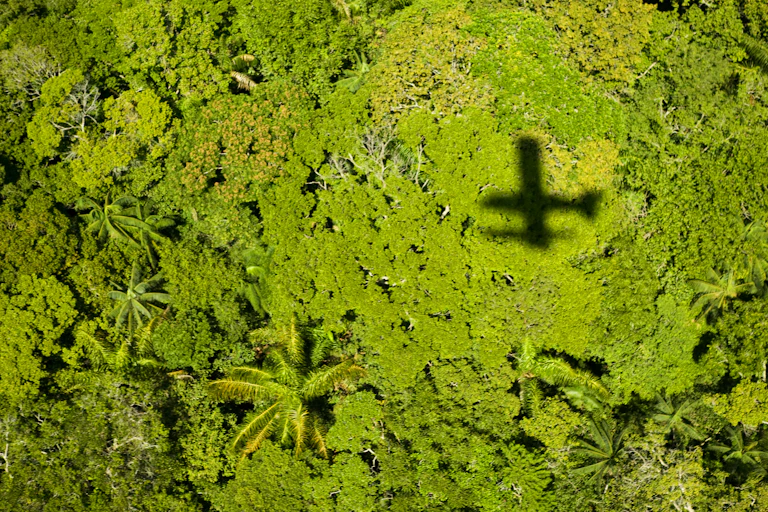 aerial photo of the shadow of a plane cast on green treetops
