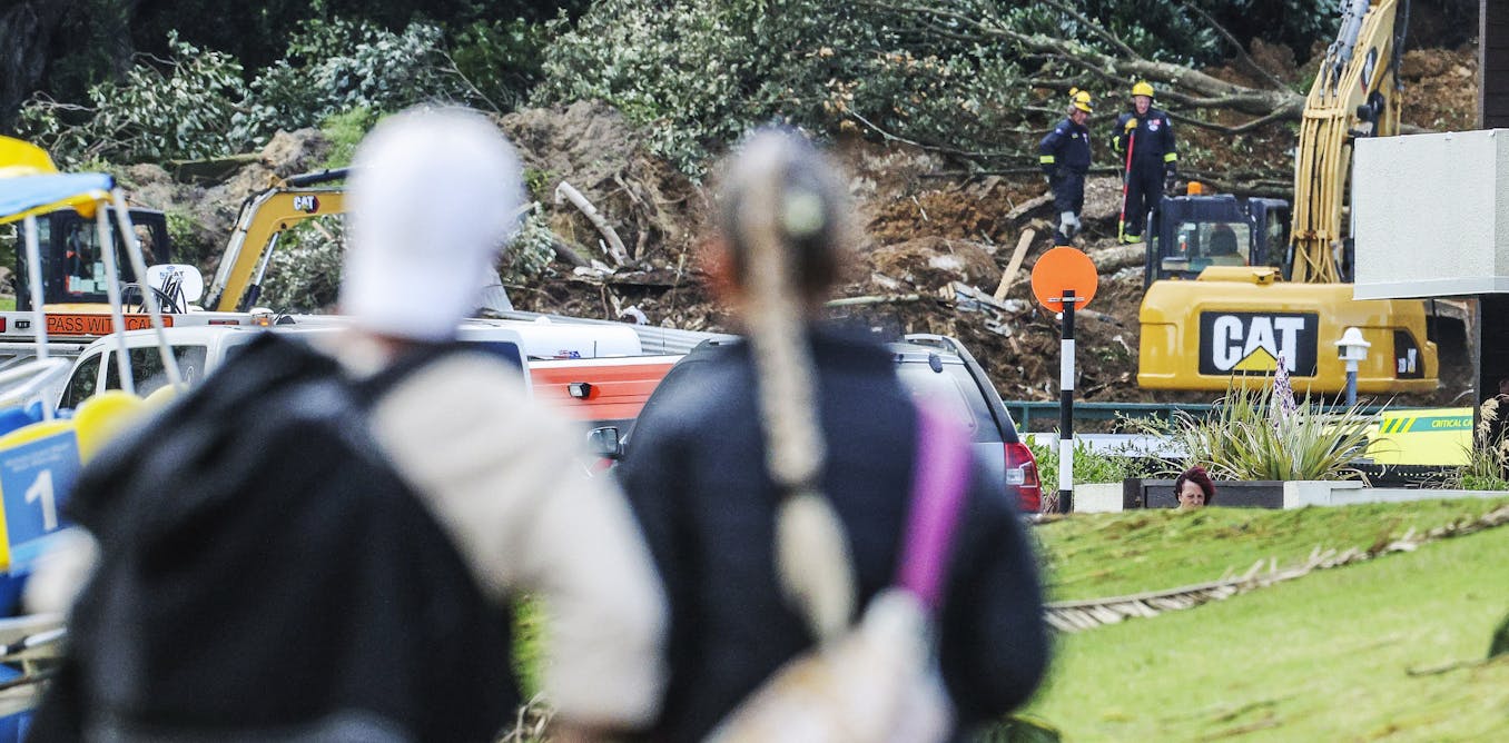 Do Trees Help Prevent Landslides? Insights from Science on Roots, Rainfall, and Stability Do Trees Help Prevent Landslides? Insights from Science on Roots, Rainfall, and Stability