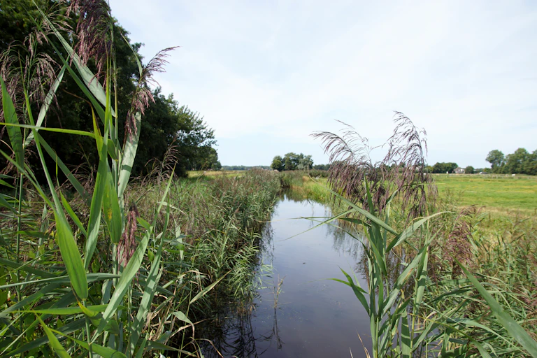 ditch alongside farmland, green grass